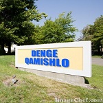 Denge Qamishlo