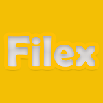 Filex FM