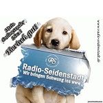 Radio Seidenstadt